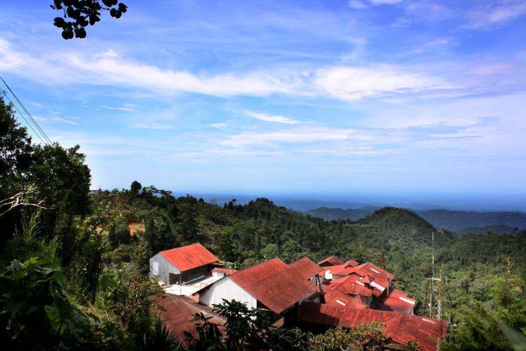Finca Hamburgo La Ruta Del Cafe Tuzantan Kültér fotó